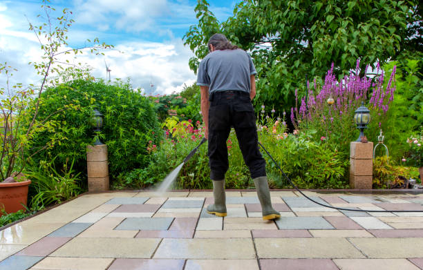 Animal Enclosure Cleaning in Holiday Shores, IL